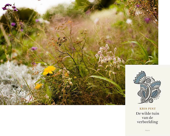 De wilde tuin van de verbeelding